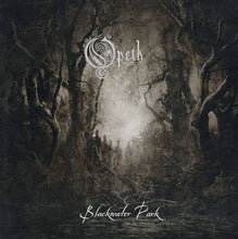 Load image into Gallery viewer, Opeth - Blackwater Park 2LP (25th Anniversary Black & Silver Split)