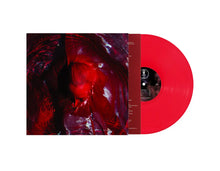 Load image into Gallery viewer, Blackwater Holylight - Not Here Not Gone LP