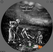 Load image into Gallery viewer, Dark Ages/From The Bogs Of Aughiska - Split LP Pic Disc