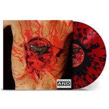 Load image into Gallery viewer, Dismember - Indecent &amp; Obscene LP (Red &amp; Clear)
