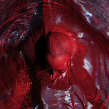 Load image into Gallery viewer, Blackwater Holylight - Not Here Not Gone LP
