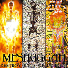 Load image into Gallery viewer, Meshuggah - Destroy Erase Improve 2LP
