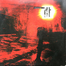 Load image into Gallery viewer, Dark Tranquility - Character Pic LP
