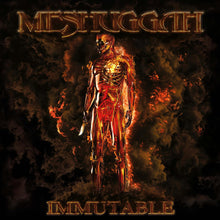 Load image into Gallery viewer, Meshuggah - Immutable 2LP
